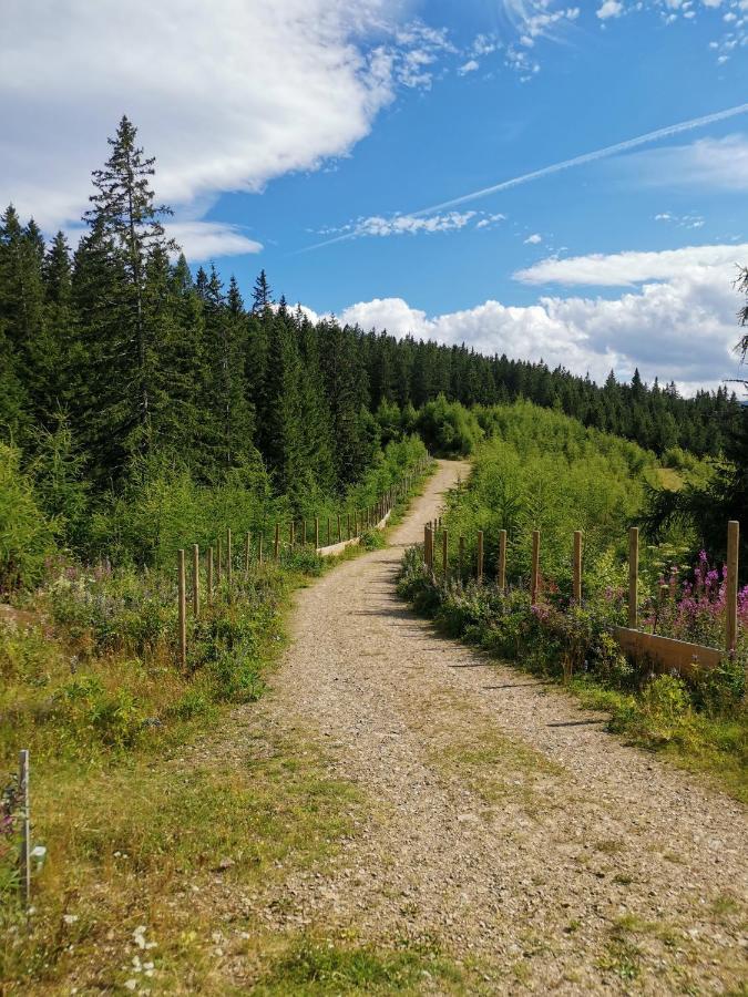 Ferienwohnungen Hebalm Pack Eksteriør billede